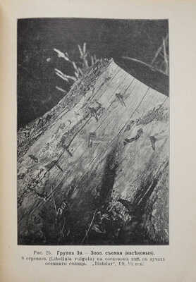 Шульц Г. Э. Ф. Фотография с природы. Практические наставления для учащихся и любителей. СПб., 1913.